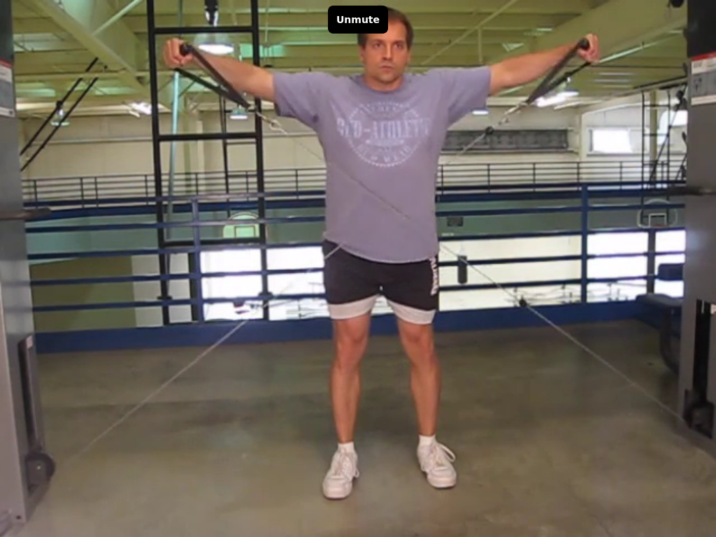 Cable Lateral Raise